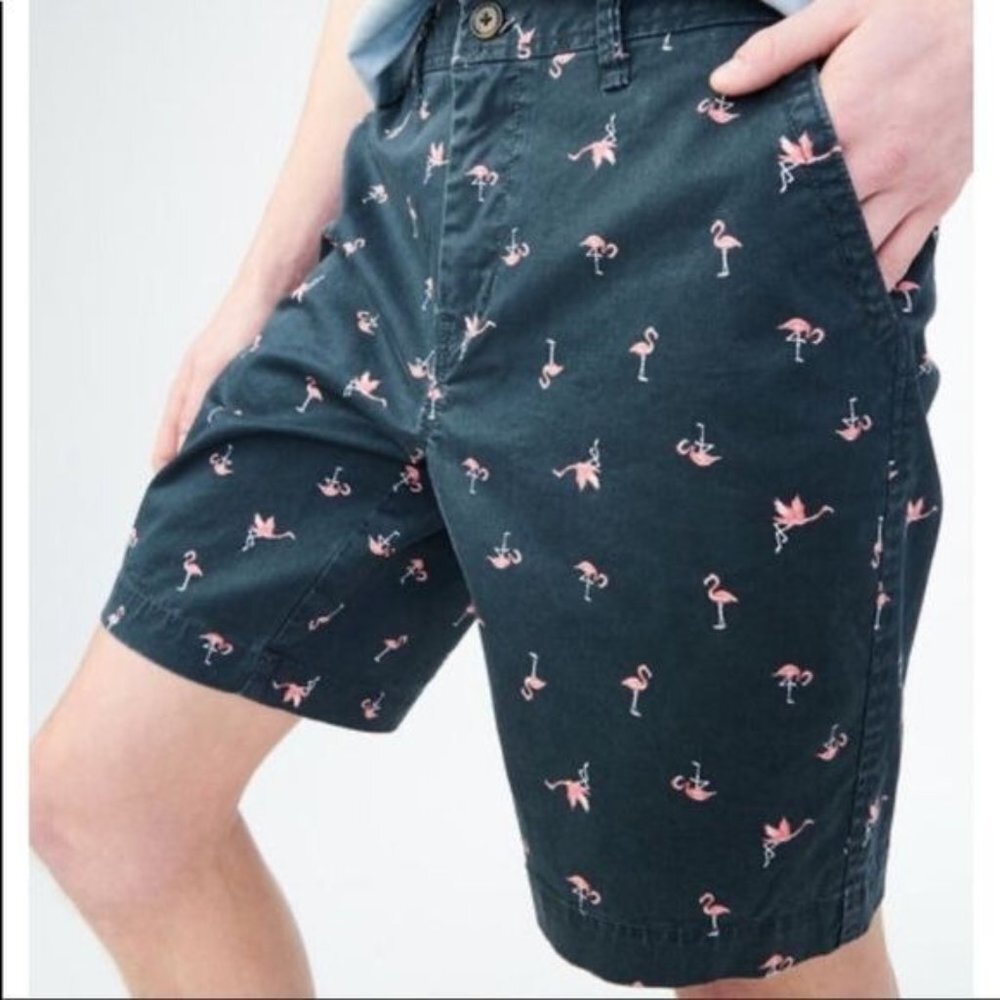 Aeropostale Men Size‎ 28 Flamingo Embroidered Cotton Blend Chino Shorts